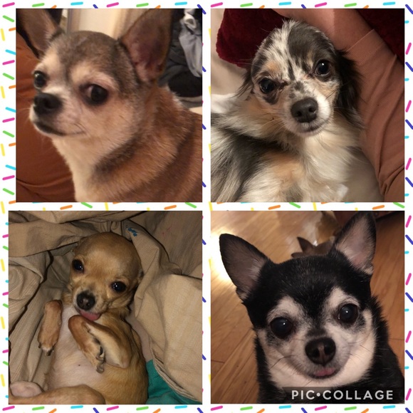 Meet your Posher, Sarah - Picture 2 of 4